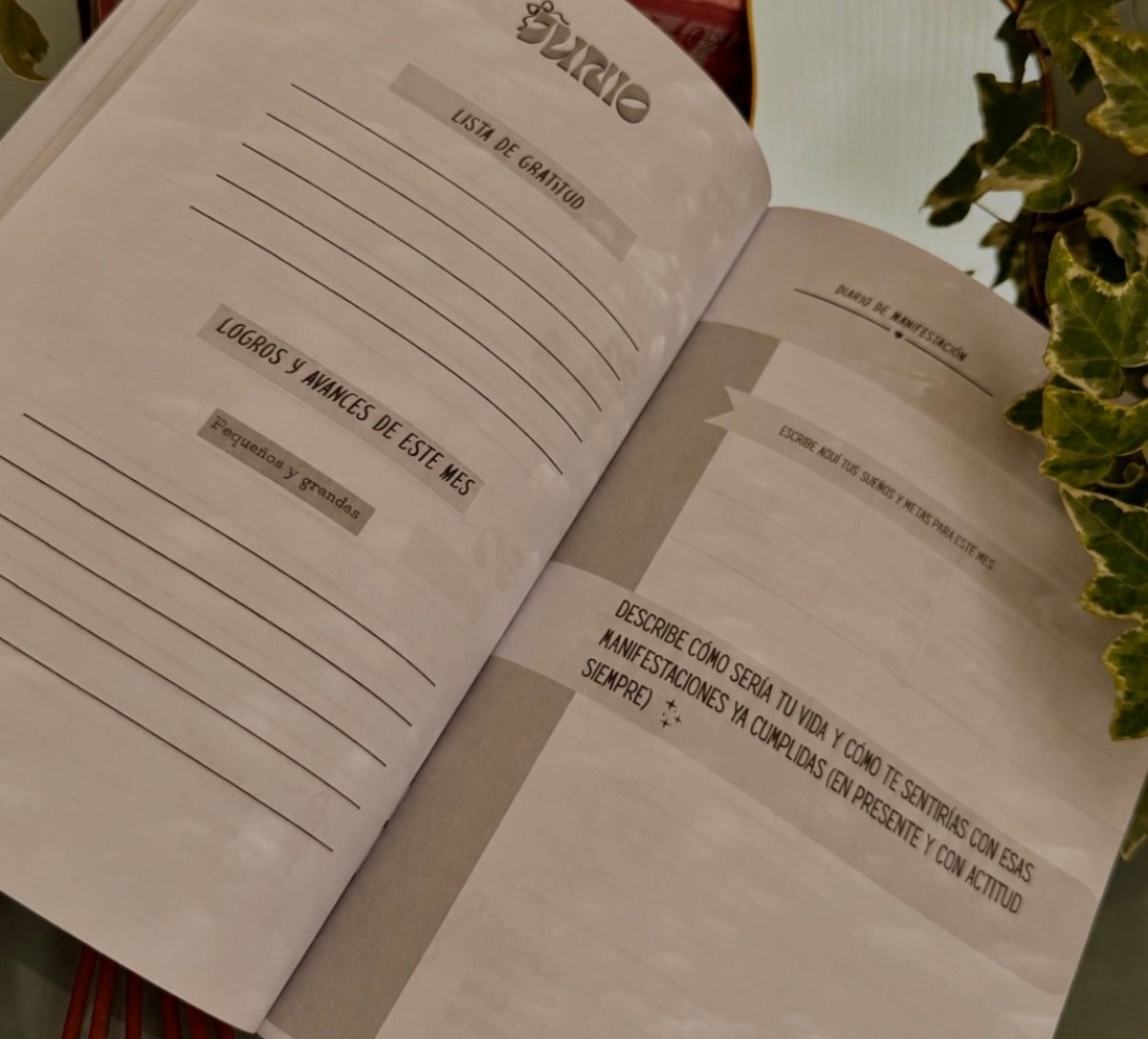 BULLET JOURNAL               2026                                              tapa blanda