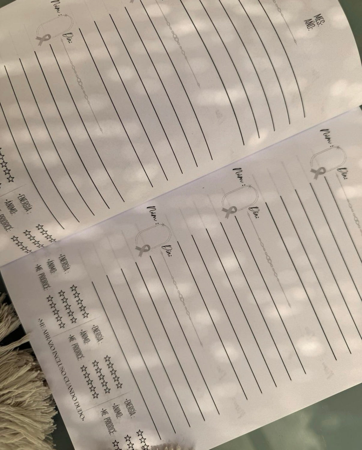 BULLET JOURNAL    ATEMPORAL